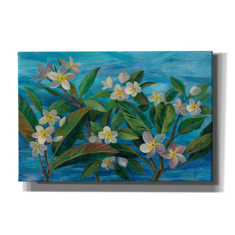 Image of 'Oceanside Plumeria' by Silvia Vassileva, Canvas Wall Art,18x12x1.1x0,26x18x1.1x0,40x26x1.74x0,60x40x1.74x0
