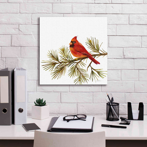 Image of 'Cardinal Christmas V on White' by Silvia Vassileva, Canvas Wall Art,18 x 18