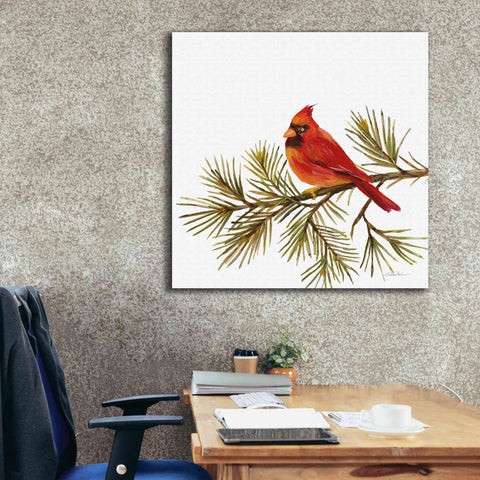 Image of 'Cardinal Christmas V on White' by Silvia Vassileva, Canvas Wall Art,37 x 37