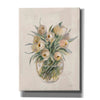 'Blush Floral Bouquet White' by Silvia Vassileva, Canvas Wall Art,12x16x1.1x0,20x24x1.1x0,26x30x1.74x0,40x54x1.74x0