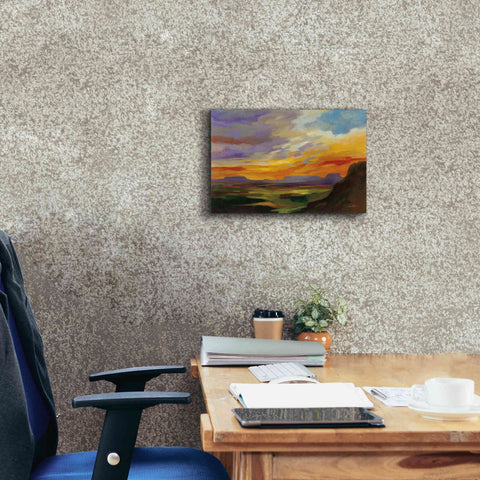 Image of 'Sonoran Desert Sunset' by Silvia Vassileva, Canvas Wall Art,18 x 12