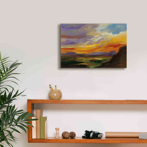 Image of 'Sonoran Desert Sunset' by Silvia Vassileva, Canvas Wall Art,18 x 12