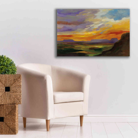 Image of 'Sonoran Desert Sunset' by Silvia Vassileva, Canvas Wall Art,40 x 26