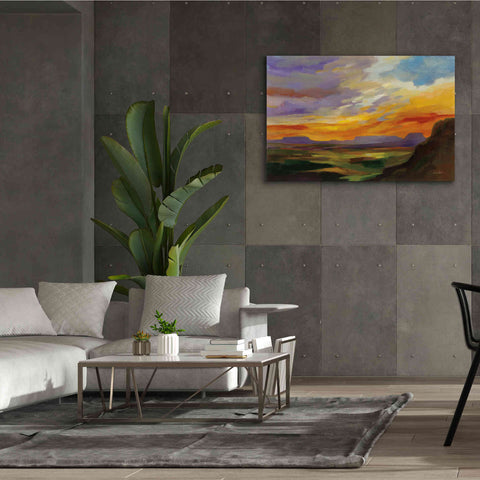 Image of 'Sonoran Desert Sunset' by Silvia Vassileva, Canvas Wall Art,60 x 40