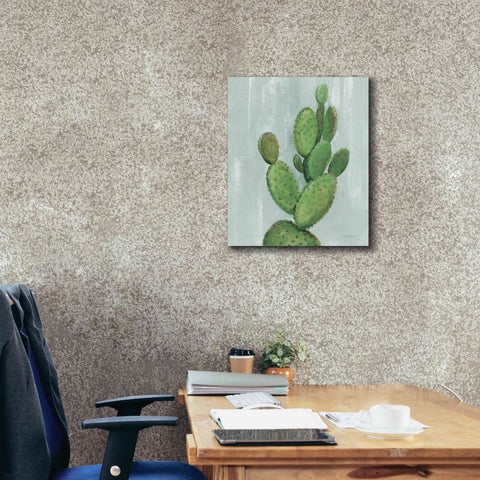 Image of 'Front Yard Cactus I Slate' by Silvia Vassileva, Canvas Wall Art,20 x 24