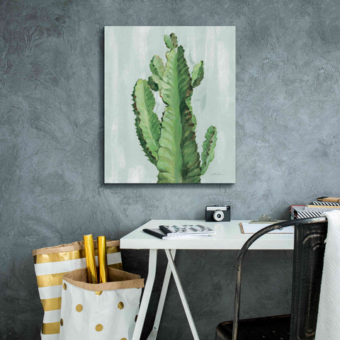 Image of 'Front Yard Cactus II Slate' by Silvia Vassileva, Canvas Wall Art,20 x 24