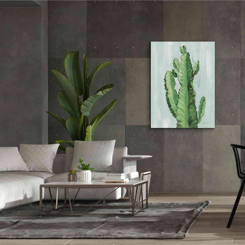 Image of 'Front Yard Cactus II Slate' by Silvia Vassileva, Canvas Wall Art,40 x 54