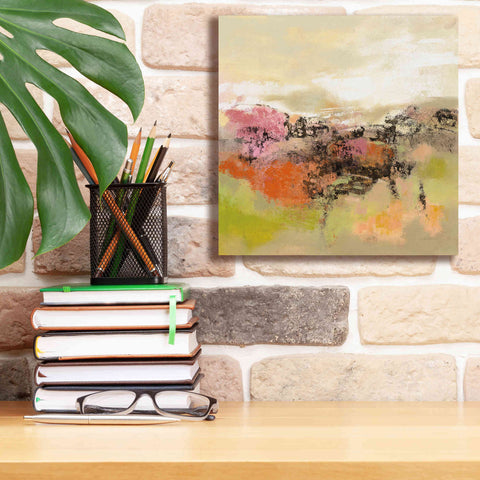 Image of 'Midsummer Meadow Path' by Silvia Vassileva, Canvas Wall Art,12 x 12