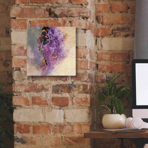 Image of 'Amethyst' by Silvia Vassileva, Canvas Wall Art,12 x 12