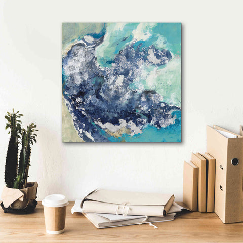 Image of 'Turquoise' by Silvia Vassileva, Canvas Wall Art,18 x 18