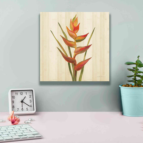 Image of 'Tropical Garden I' by Silvia Vassileva, Canvas Wall Art,12 x 12