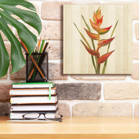 Image of 'Tropical Garden I' by Silvia Vassileva, Canvas Wall Art,12 x 12