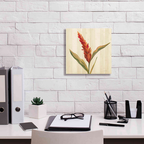 Image of 'Tropical Garden II' by Silvia Vassileva, Canvas Wall Art,12 x 12