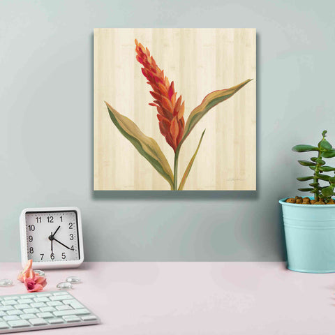 Image of 'Tropical Garden II' by Silvia Vassileva, Canvas Wall Art,12 x 12