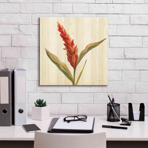 Image of 'Tropical Garden II' by Silvia Vassileva, Canvas Wall Art,18 x 18