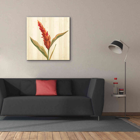 Image of 'Tropical Garden II' by Silvia Vassileva, Canvas Wall Art,37 x 37