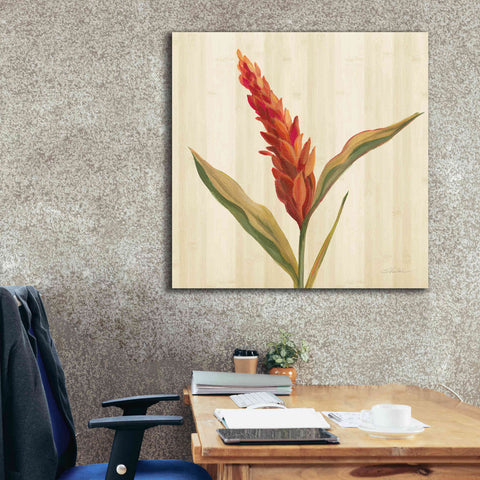 Image of 'Tropical Garden II' by Silvia Vassileva, Canvas Wall Art,37 x 37