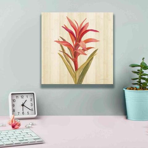 Image of 'Tropical Garden III' by Silvia Vassileva, Canvas Wall Art,12 x 12