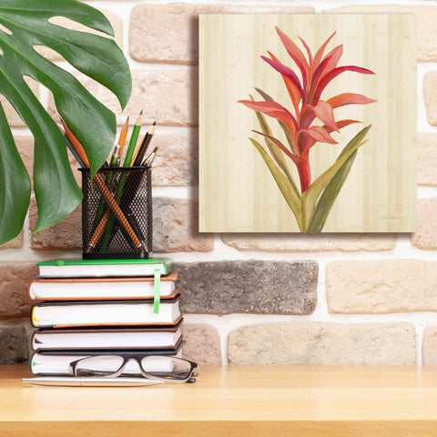 Image of 'Tropical Garden III' by Silvia Vassileva, Canvas Wall Art,12 x 12