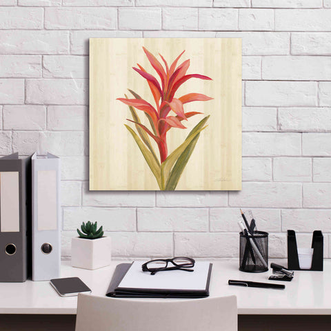 Image of 'Tropical Garden III' by Silvia Vassileva, Canvas Wall Art,18 x 18