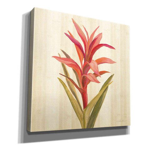Image of 'Tropical Garden III' by Silvia Vassileva, Canvas Wall Art,12x12x1.1x0,18x18x1.1x0,26x26x1.74x0,37x37x1.74x0