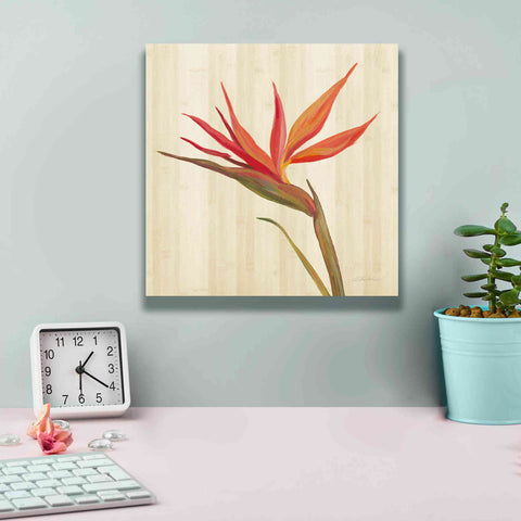 Image of 'Tropical Garden IV' by Silvia Vassileva, Canvas Wall Art,12 x 12