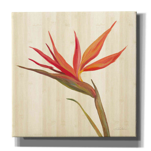 Image of 'Tropical Garden IV' by Silvia Vassileva, Canvas Wall Art,12x12x1.1x0,18x18x1.1x0,26x26x1.74x0,37x37x1.74x0