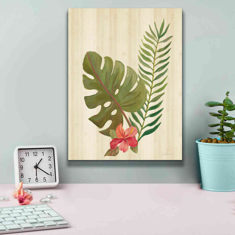 Image of 'Tropical Garden V' by Silvia Vassileva, Canvas Wall Art,12 x 16