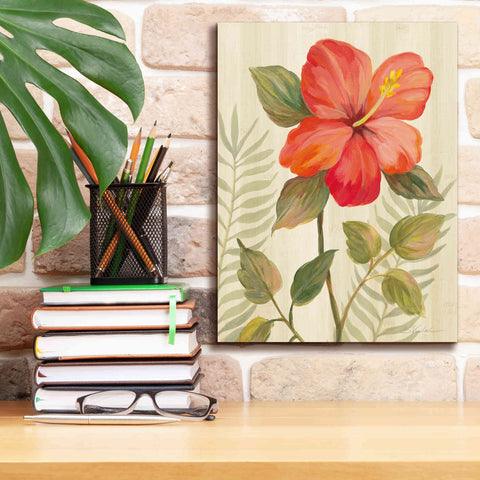 Image of 'Tropical Garden XI' by Silvia Vassileva, Canvas Wall Art,12 x 16