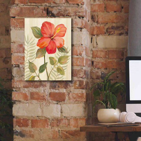 Image of 'Tropical Garden XI' by Silvia Vassileva, Canvas Wall Art,12 x 16