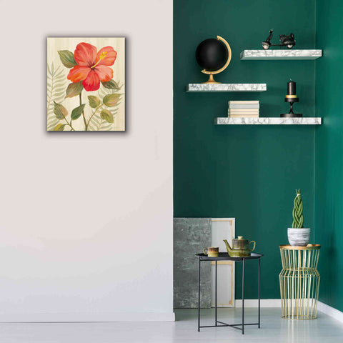 Image of 'Tropical Garden XI' by Silvia Vassileva, Canvas Wall Art,20 x 24