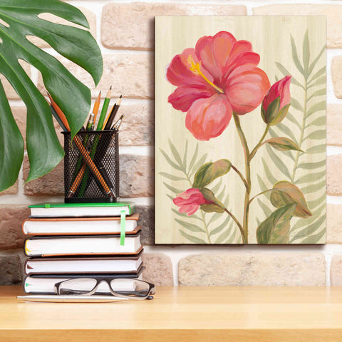 Image of 'Tropical Garden XII' by Silvia Vassileva, Canvas Wall Art,12 x 16