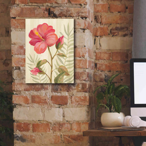 Image of 'Tropical Garden XII' by Silvia Vassileva, Canvas Wall Art,12 x 16