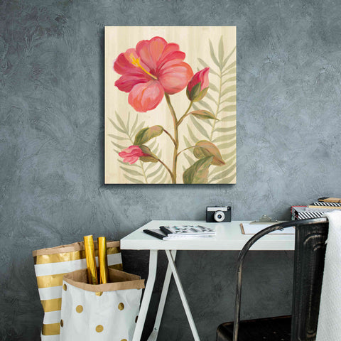 Image of 'Tropical Garden XII' by Silvia Vassileva, Canvas Wall Art,20 x 24