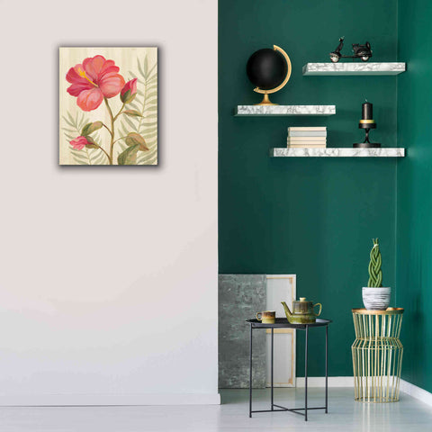 Image of 'Tropical Garden XII' by Silvia Vassileva, Canvas Wall Art,20 x 24