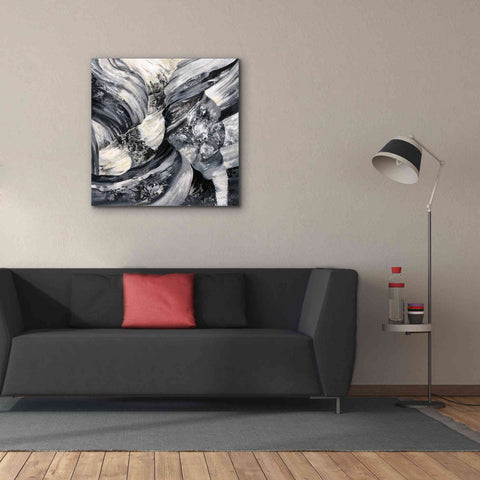Image of Epic Art 'Graphic Canyon I' by Silvia Vassileva, Canvas Wall Art,37 x 37
