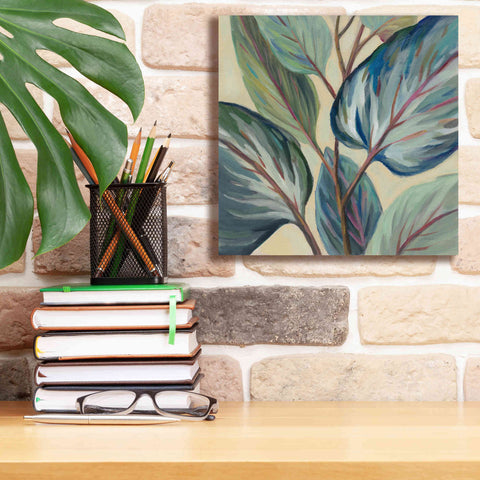 Image of Epic Art 'Greenhouse Leaves' by Silvia Vassileva, Canvas Wall Art,12 x 12