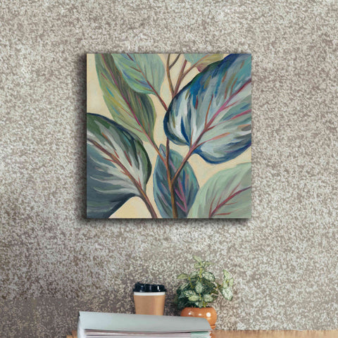 Image of Epic Art 'Greenhouse Leaves' by Silvia Vassileva, Canvas Wall Art,18 x 18