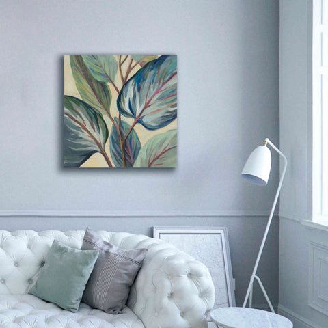 Image of Epic Art 'Greenhouse Leaves' by Silvia Vassileva, Canvas Wall Art,37 x 37