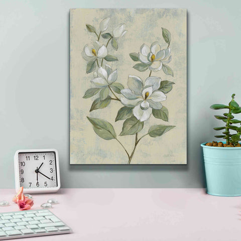Image of Epic Art 'Sage Magnolia' by Silvia Vassileva, Canvas Wall Art,12 x 16