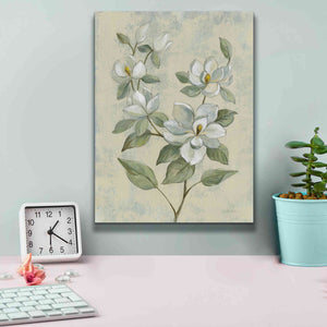 Epic Art 'Sage Magnolia' by Silvia Vassileva, Canvas Wall Art,12 x 16