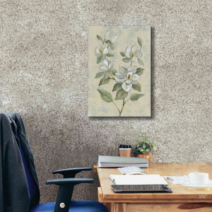 Epic Art 'Sage Magnolia' by Silvia Vassileva, Canvas Wall Art,18 x 26