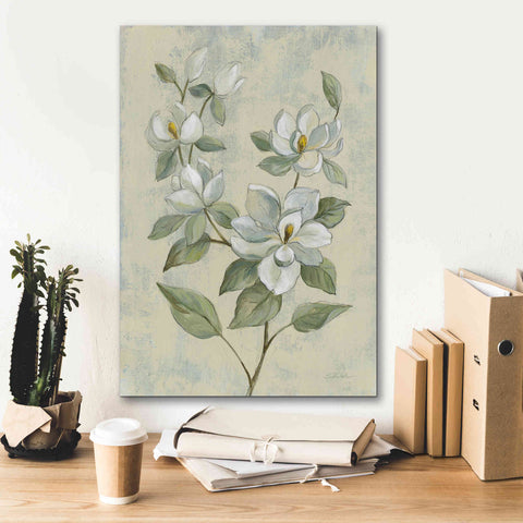 Image of Epic Art 'Sage Magnolia' by Silvia Vassileva, Canvas Wall Art,18 x 26