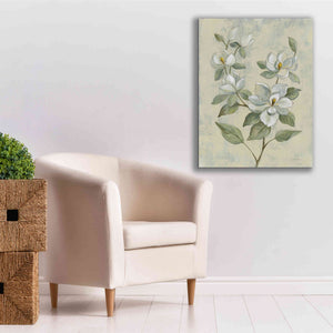 Epic Art 'Sage Magnolia' by Silvia Vassileva, Canvas Wall Art,26 x 34