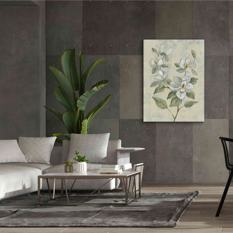 Image of Epic Art 'Sage Magnolia' by Silvia Vassileva, Canvas Wall Art,40 x 54