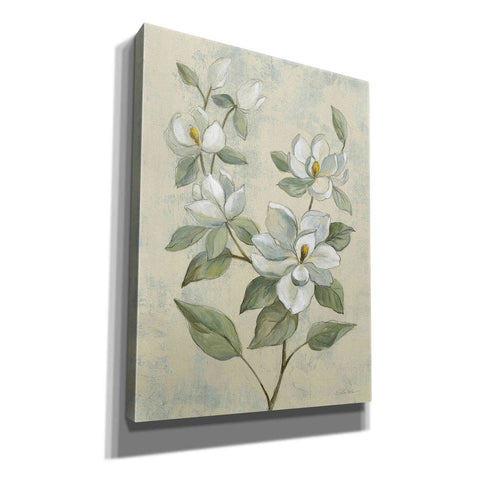 Image of Epic Art 'Sage Magnolia' by Silvia Vassileva, Canvas Wall Art,12x16x1.1x0,18x26x1.1x0,26x34x1.74x0,40x54x1.74x0