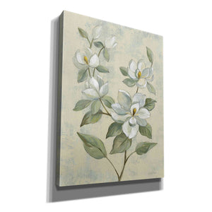 Epic Art 'Sage Magnolia' by Silvia Vassileva, Canvas Wall Art,12x16x1.1x0,18x26x1.1x0,26x34x1.74x0,40x54x1.74x0
