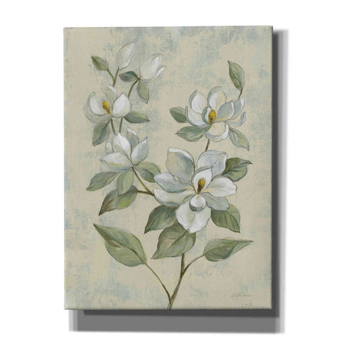 Image of Epic Art 'Sage Magnolia' by Silvia Vassileva, Canvas Wall Art,12x16x1.1x0,18x26x1.1x0,26x34x1.74x0,40x54x1.74x0