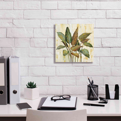 Image of Epic Art 'Fall Greenhouse Leaves' by Silvia Vassileva, Canvas Wall Art,12 x 12