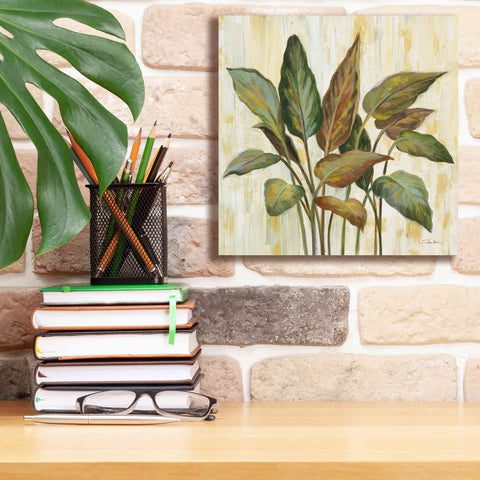 Image of Epic Art 'Fall Greenhouse Leaves' by Silvia Vassileva, Canvas Wall Art,12 x 12